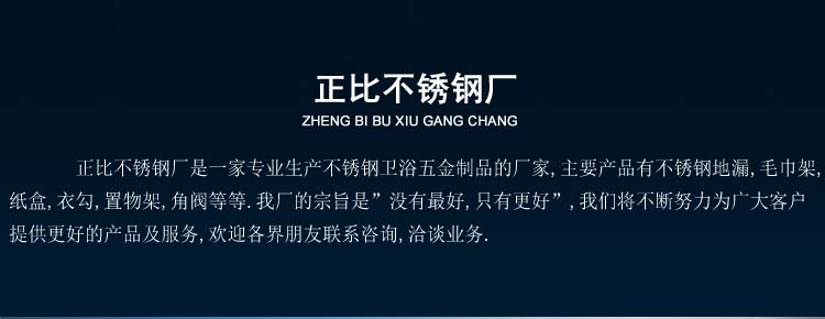 正比1