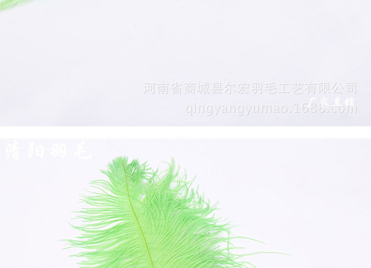 55-60果绿详情页面模板_14