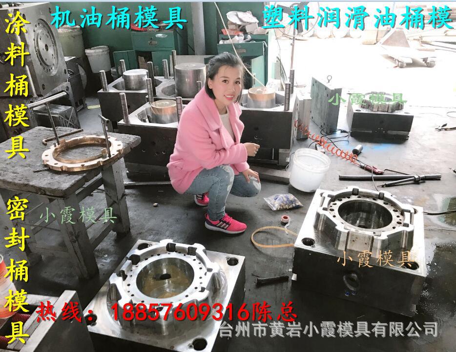 机油桶模具 (116)