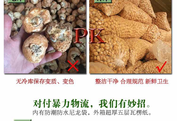 猴头菇-详情图al_14