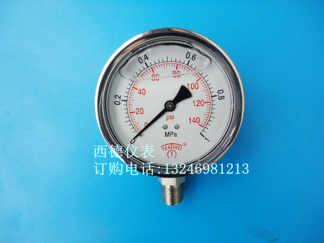 100MM径向0-1MPA全不锈钢防震压力表 充油防震全不锈钢压力表