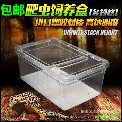 Reptile Feeding Box Spider Vipers Shakespeare Climb pet Supplies Lizard Beetle Snail centipede Feeding Box