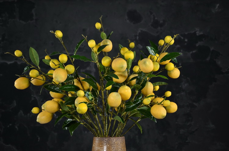 2-2黄色欧罗柠檬