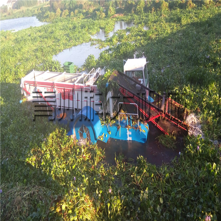 四川成都水葫芦割草船 水面割草保洁船 水浮莲收集打捞设备