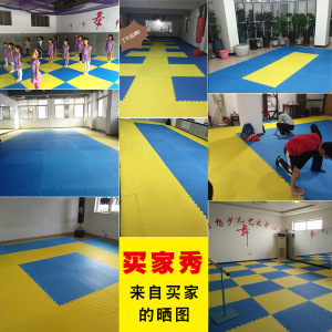 厂家直销跆拳道垫子2.5CM红蓝跆拳道垫高密度武术健身跆拳道地垫