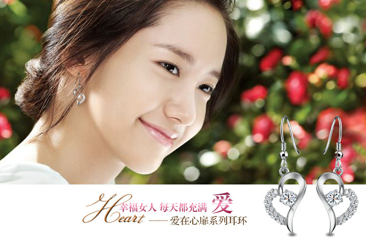 S925 Pure Silver Ear Hook Zircon Earrings Wholesales Fashion display picture 1