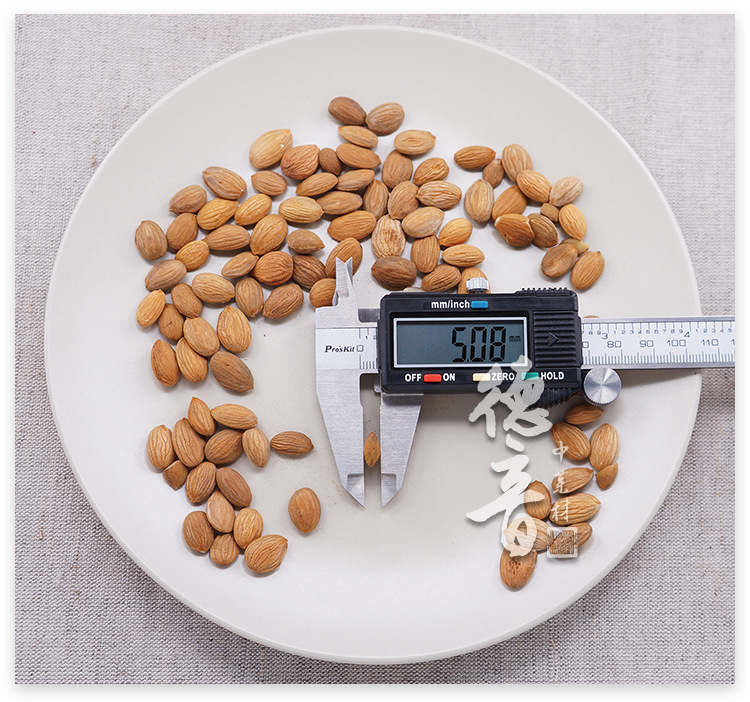 Dried Bitter Almonds Biantao Ren 500g Bulk Raw Almond Kernels for Culinary Use quality and texture