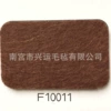 F10011