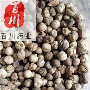 �����l���׶�ޢ��ș�����ϰ�ޢ��ޢ���l�����u����ԭ�����l