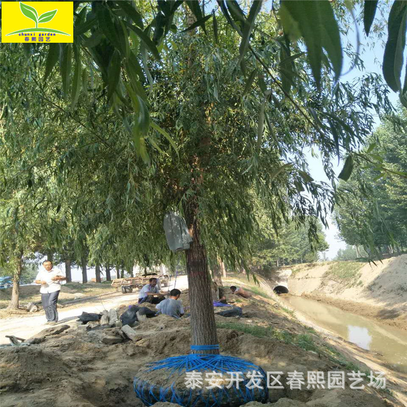 微信图片_20170622152926