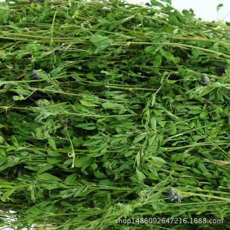 紫花苜蓿草干草主粮1kg 箱幼兔粮草龙猫豚鼠兔子饲料 阿里巴巴