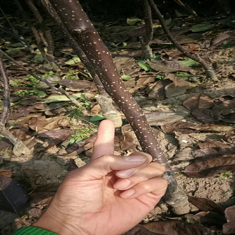 寰俊鍥剧墖_20171103151122_鍓湰