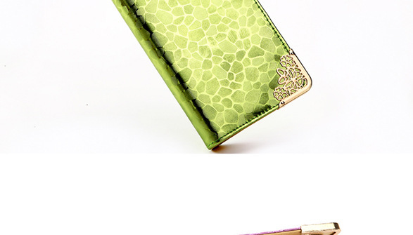 3130780658_1769069098