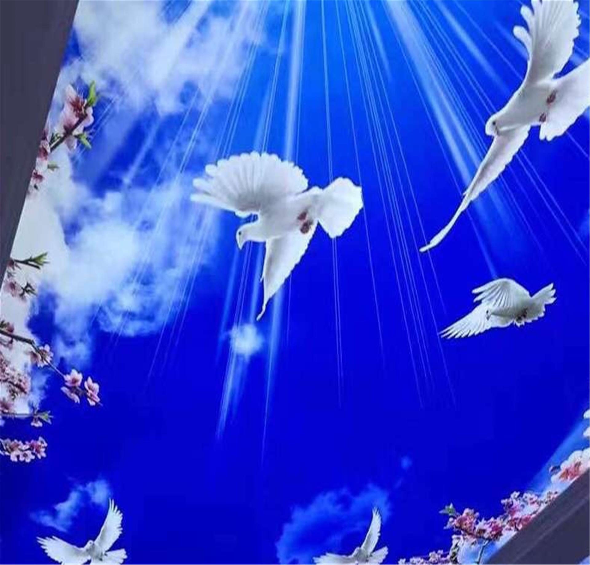 进口弹簧灯片喷绘，宽幅不拼接灯箱片喷绘 大麦广告