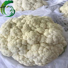 保鲜白花菜价格 最新保鲜白花菜价格 批发报价 价格大全 阿里巴巴