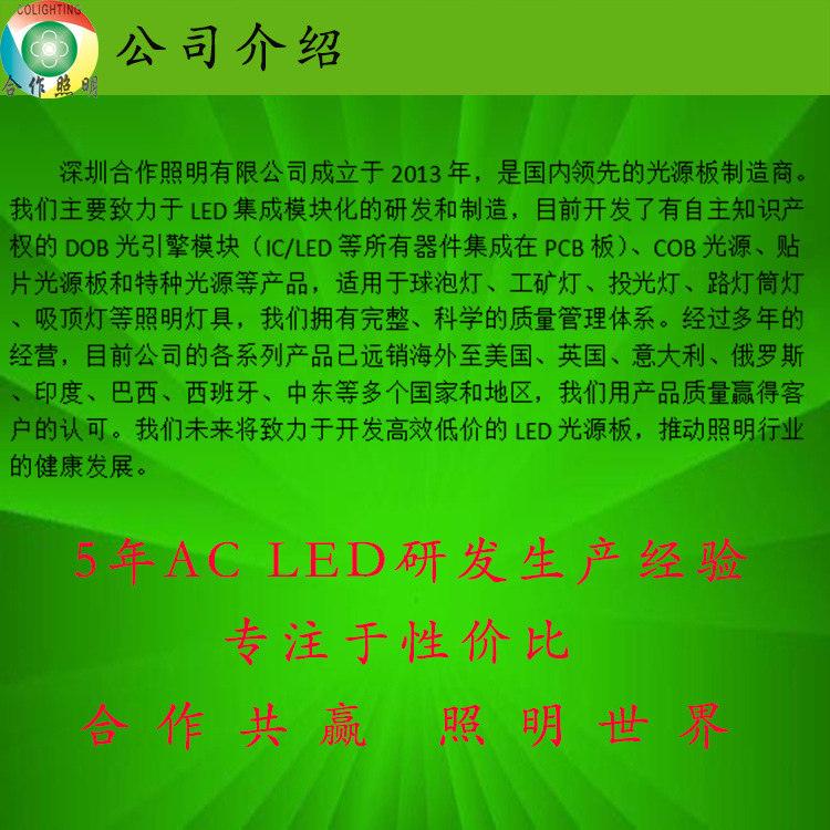 公司介绍