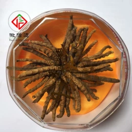 其他滋补;其他药食同源;参类滋补品