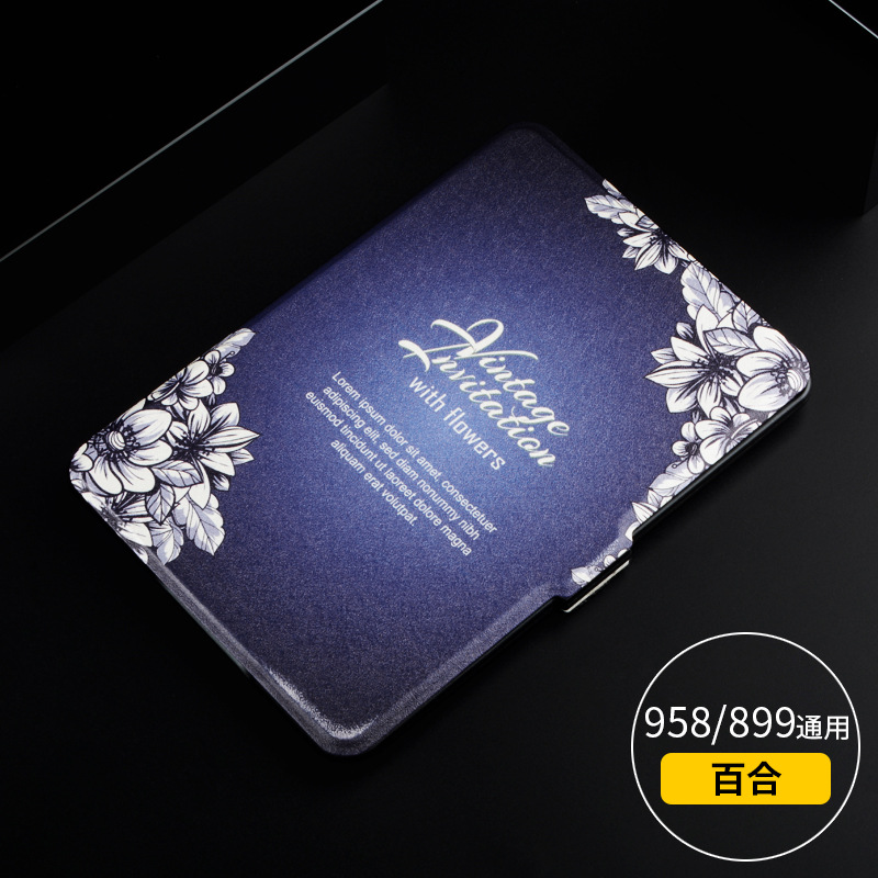 paperwhite899958 (2)