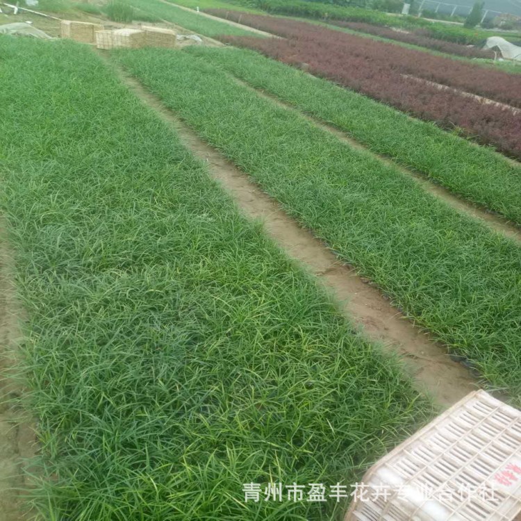 微信图片_20170829164416