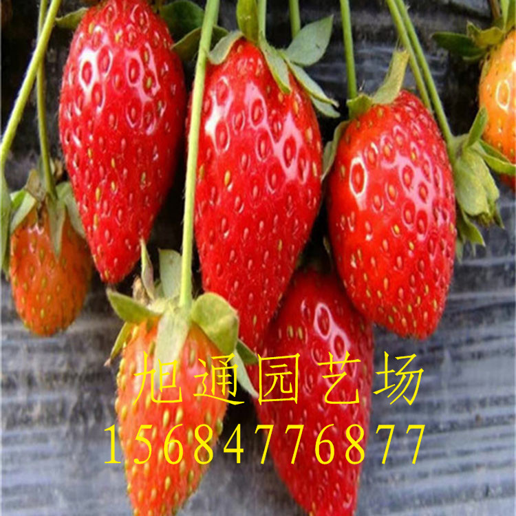 mmexport1464185767502