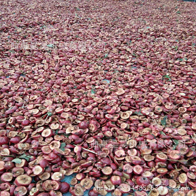 苹果切片机新款山楂切片机 尺寸可调  批发价直销