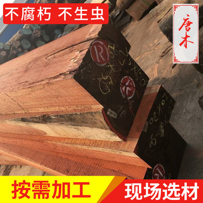 Image result for å”æœ ç•a¾™çœ¼