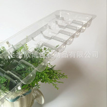 SҶpet30z͸ h tșƷ10ƿb ܚ