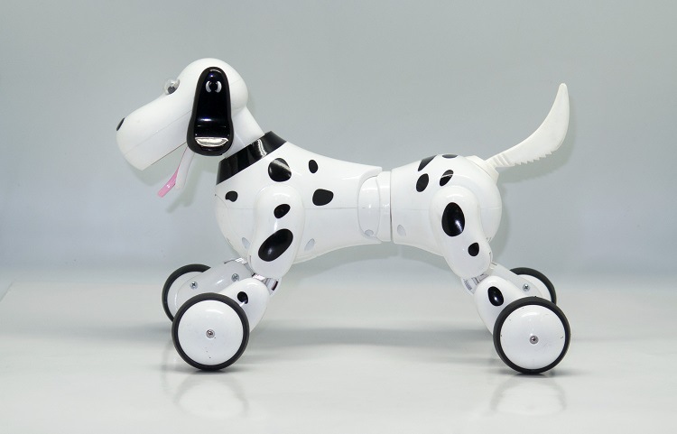 Robotic Companion