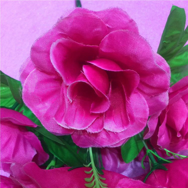 IMG_8456(20170816-153253)