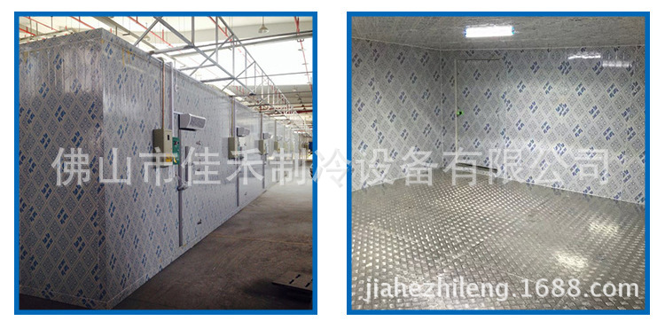 3185689717_1846891366 (1)