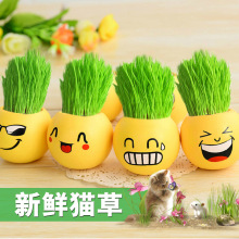 ����؈�����l ����؈�����b ؈����؈��ë�� С���N��؈��