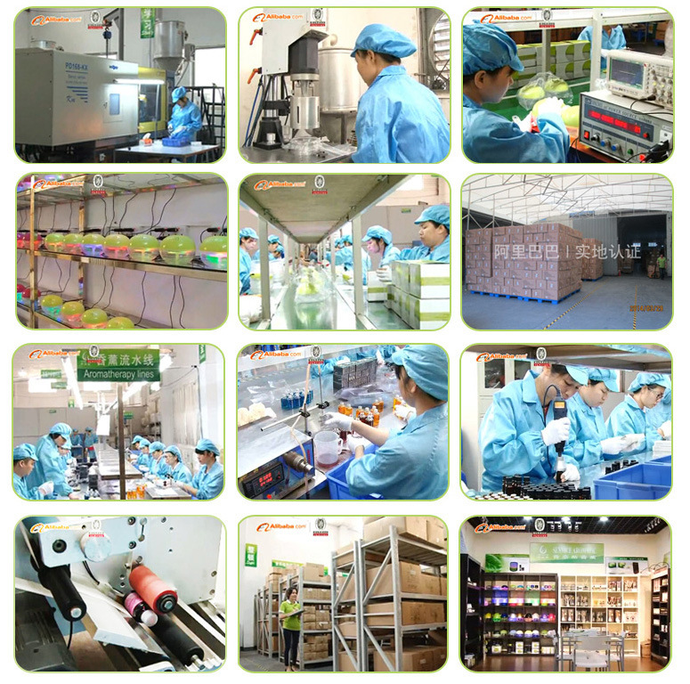 3159334464_1497780002