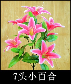 7头小百合