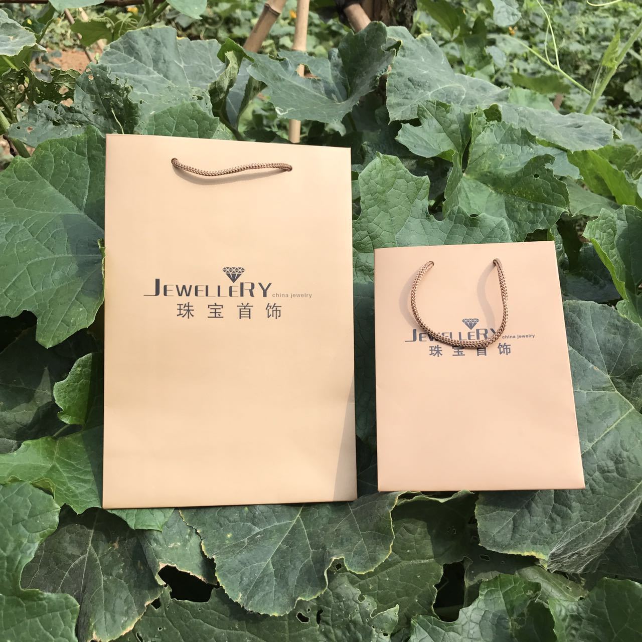 微信图片_20170921113741