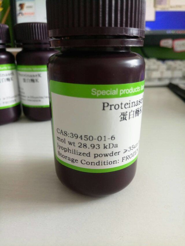 蛋白酶K1