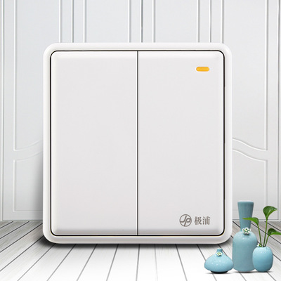 中山极浦 86型暗装雅点白系列二位双控家用墙壁开关面板 单只装|ru