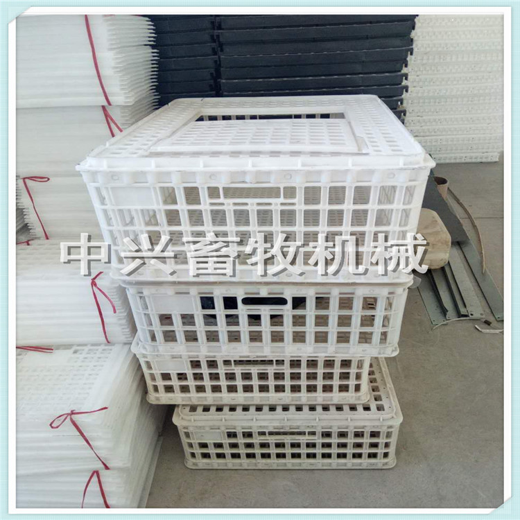 塑料鸡笼厂家 淘汰鸡笼 拉鸭筐 拉鸭笼批发