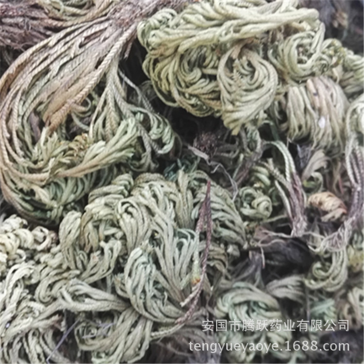 Dried Selaginella Juan Bai Whole Herb 1kg Traditional TCM Botanical Resurrection Grass quality and texture