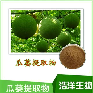 瓜蒌提取物10:1 天花粉 括蒌提取物