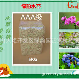 国产AAA级水苔5KG 蝴蝶兰 铁皮石斛兰蓝莓多肉植物食虫花宠物垫材