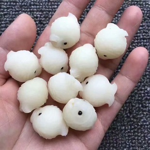 �������ᾫ��С�~ɢ�� ���m������ �����ɏ�����