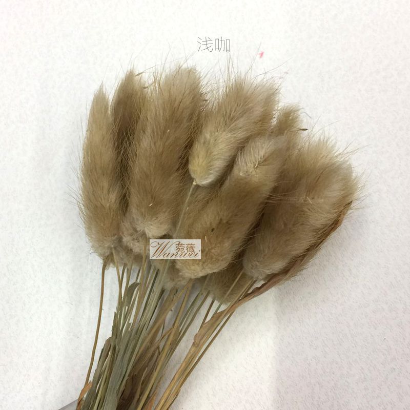 微信图片_20170521112208_副本