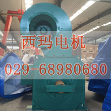 ZDT2-400-3/400KW/800rpm/833A/440V 늙C���ǙC����늙C