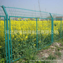 ��ꎏS�ҹ������ܿ���o�ھW ���ԾGɫ���܇��W���o�ھW�r��