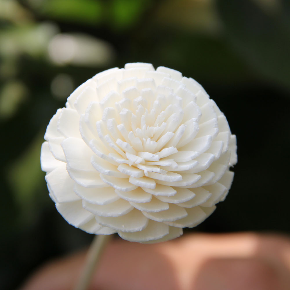 T1TPW4FG4bXXXXXXXX_!!0-item_pi