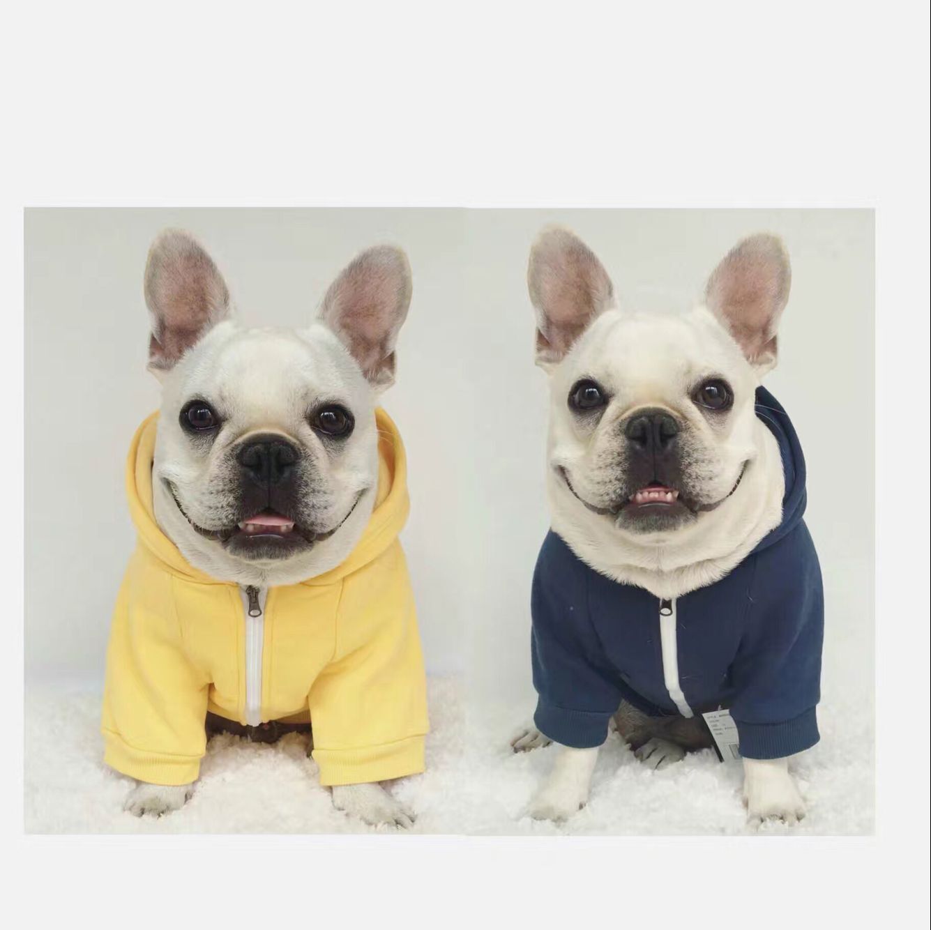 Dog Hoodie in Yellow