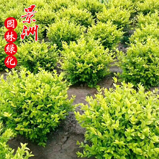 ��30-1.5�׽��~Ůؑ�� �@���^�p�L�����ؾG���WУ�R·ֲ��