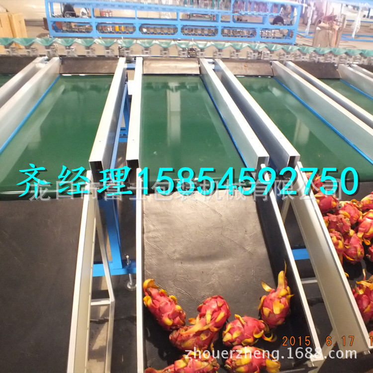 厂家FGX-DZ型电子单线果品分选机 果蔬分选设备 质保价廉ce认证