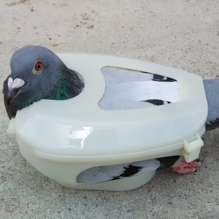 Закрепитель голубя легок для того чтобы кормить медицину и впрыски одним человеком. Голубей очень удобно поднимать в голубиные глаза. Продукты птицы и инструменты голубя