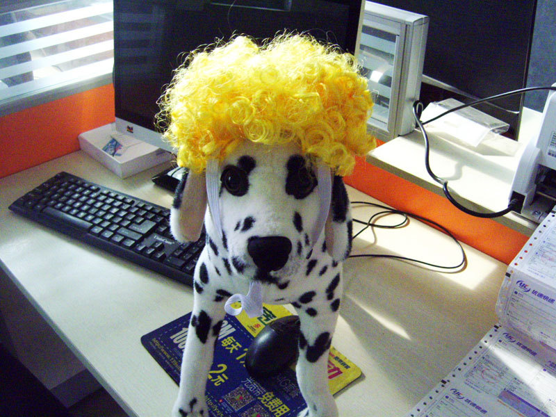 宠物猫咪狗狗假发套头套帽子表演道具5h